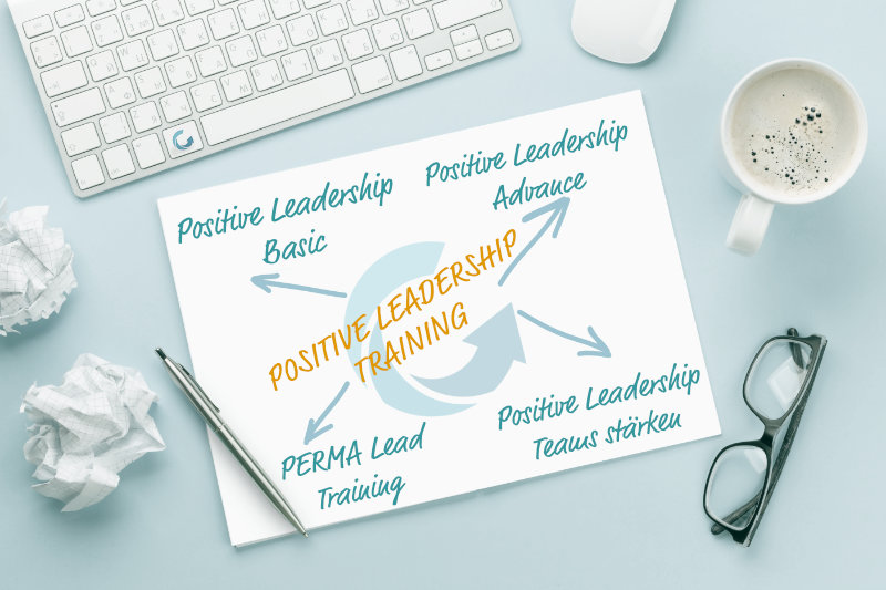 Positive Leadership Trainings impuls C Cindy Anke 